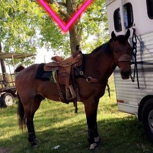 Meet your Posher, Laney